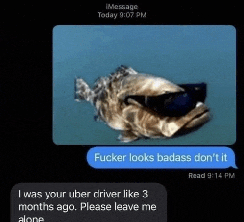 a screenshot of a text message with a picture of a fish wearing sunglasses .