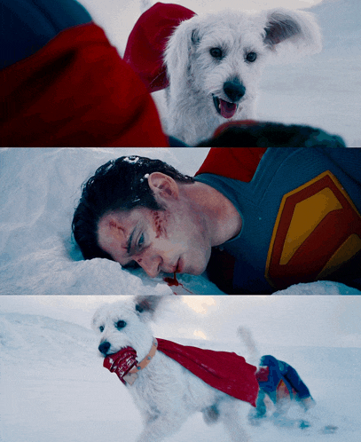 a man in a superman outfit is laying in the snow next to a white dog