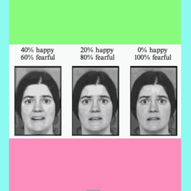 three images of a woman 's face with different percentages of happy and fearful .