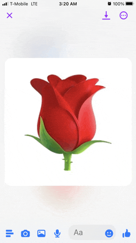 a picture of a red rose on a phone with t-mobile lte