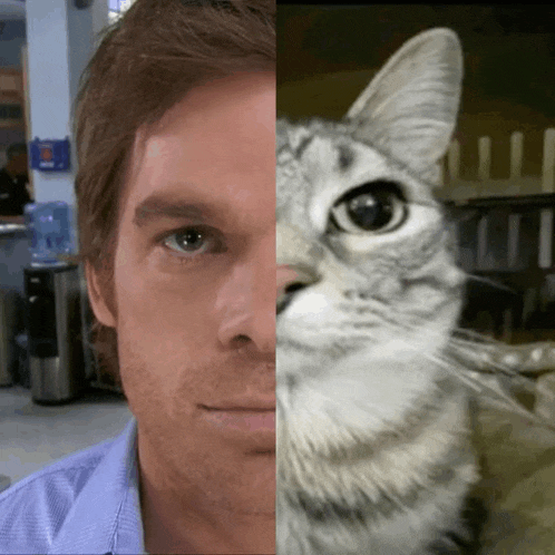 a man and a cat are shown side by side