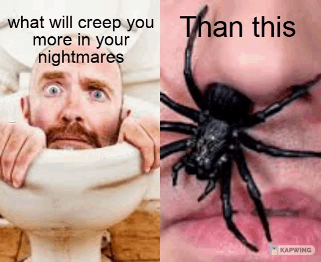 a man in a toilet next to a black spider with the caption what will creep you more in your nightmares