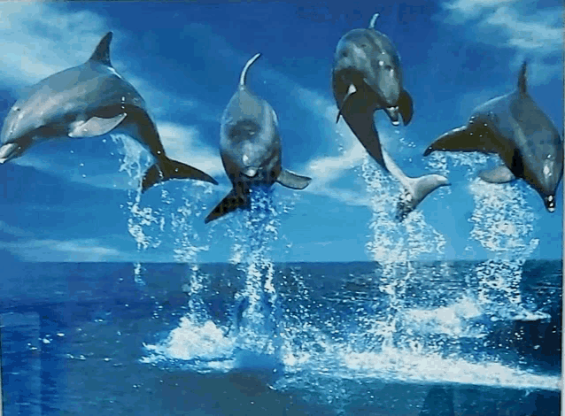 a painting of dolphins jumping out of the ocean