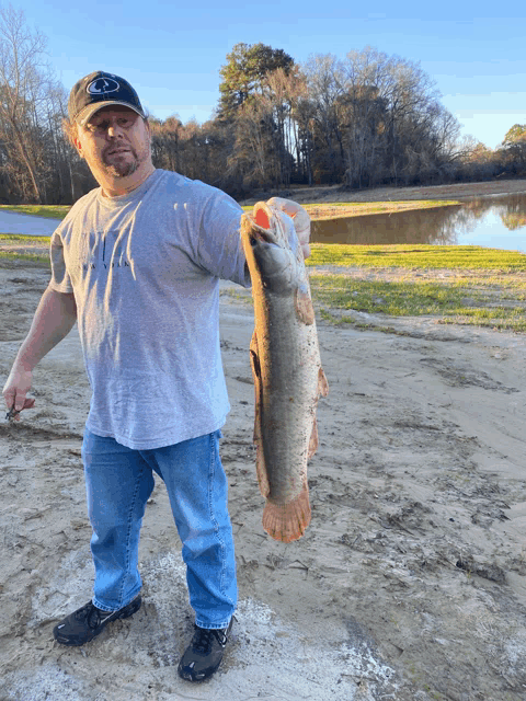 a man holding a large fish in front of a lake with trees in the background