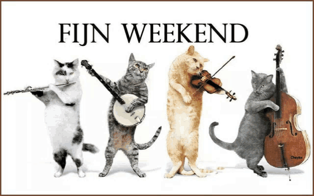 a group of cats playing musical instruments with the words fijn weekend above them