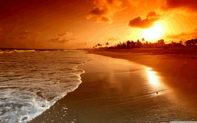 the sun is setting over a beach with palm trees