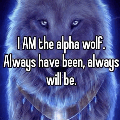 a picture of a wolf that says i am the alpha wolf