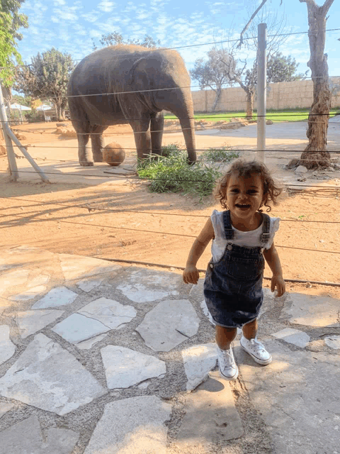 a little girl is standing in front of an elephant