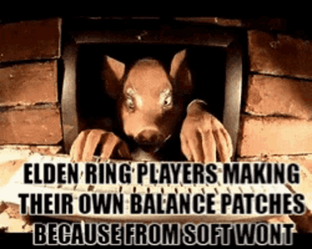 elden ring players are making their own balance patches because from soft wont .