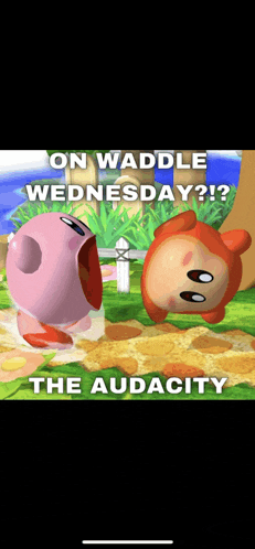 a picture of kirby and a monkey with the caption on waddle wednesday