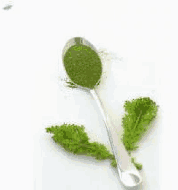 a spoon filled with green powder next to some green leaves .