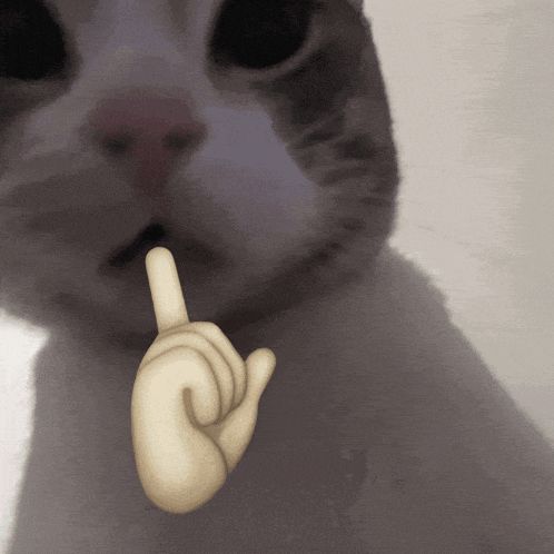 a close up of a cat 's face with a finger pointing to its mouth