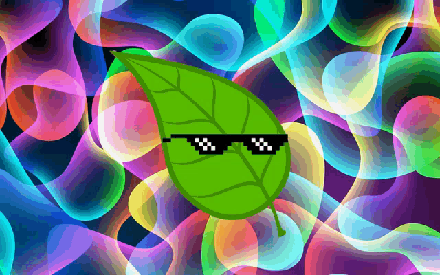 a green leaf wearing sunglasses is surrounded by colorful bubbles