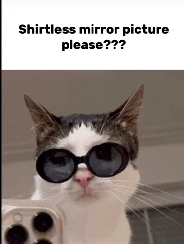 a cat wearing sunglasses takes a picture of itself in a mirror