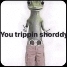 a picture of a lizard wearing pink shorts with the words `` you trippin shorddy '' .