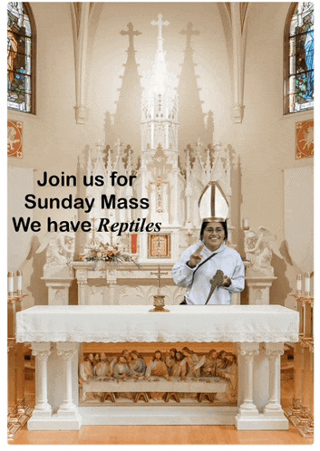 a poster in a church asking people to join us for sunday mass we have reptiles