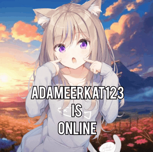 a picture of a girl with cat ears and the words adameerkat 123 is online