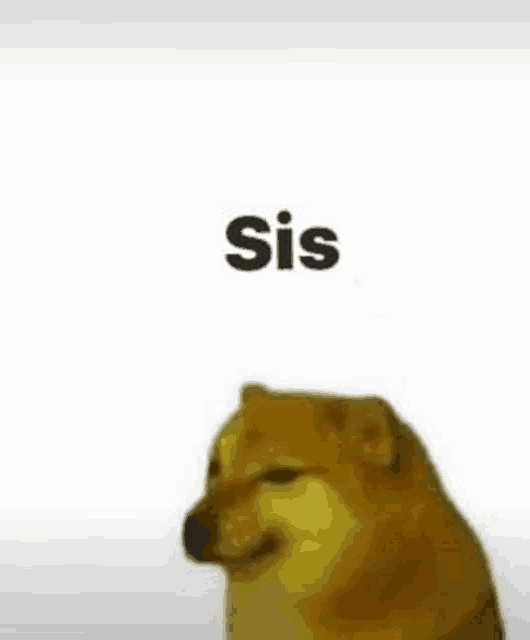 a close up of a dog with the word sis on it .