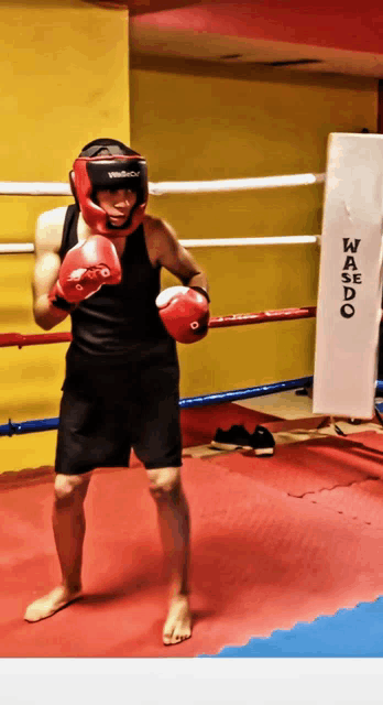 a man wearing red boxing gloves stands in a boxing ring with a sign that says wasedo