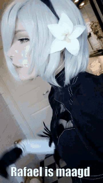 Rafael Maagd GIF
