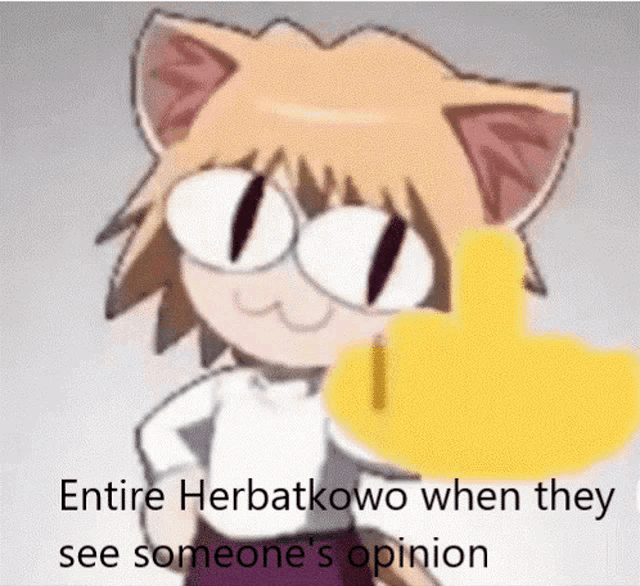 entire herbatkowo when they see someone 's opinion is written on a picture of a cat