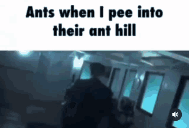 ants when i pee into their ant hill written on a white background