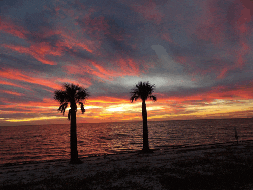 two palm trees are silhouetted against a sunset sky