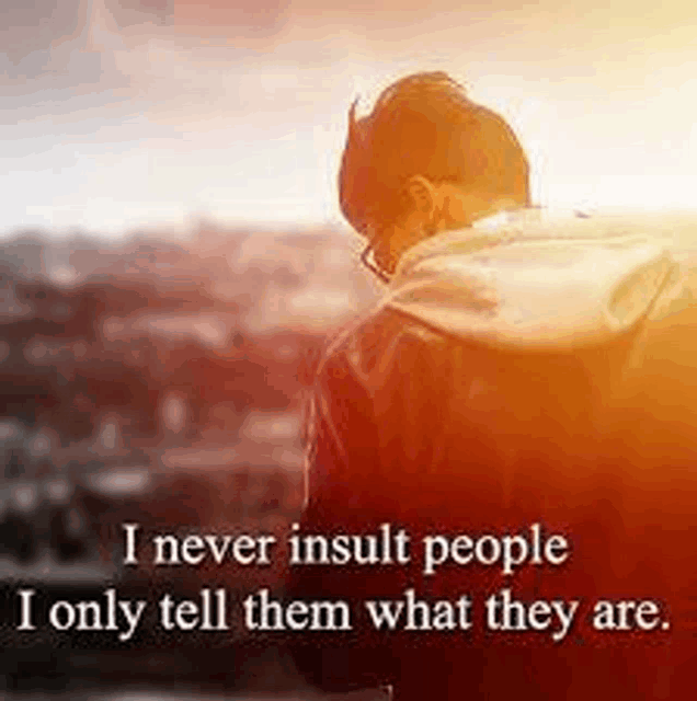 a man is looking out over a city with a quote that says `` i never insult people i only tell them what they are ''