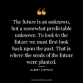 the future is an unknown but a somewhat predictable unknown to look to the future we must first look back upon the past .