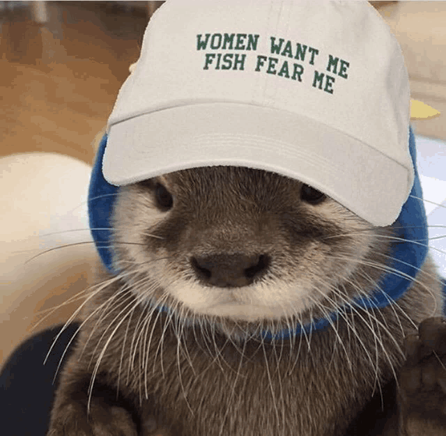 a otter wearing a hat that says women want me fish fear me