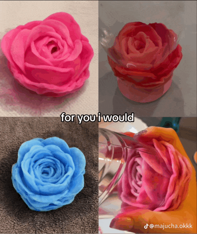 a collage of four pictures of roses with the words for you i would at the bottom