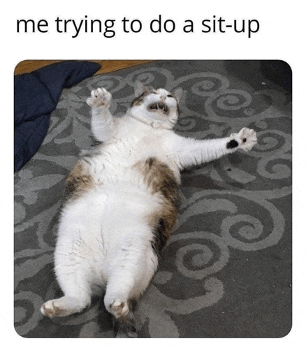 a cat is laying on its back on a rug with the caption " me trying to do a sit up "