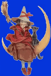 a witch is flying on a crescent moon with a black cat on her back