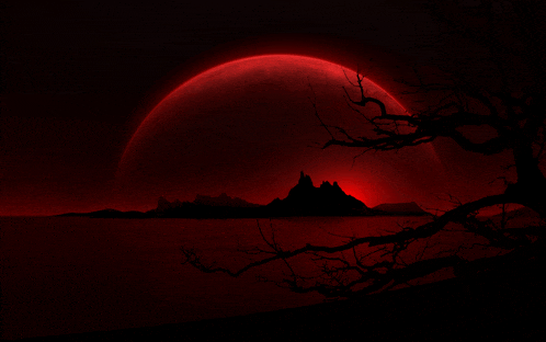 a silhouette of a tree against a red moon