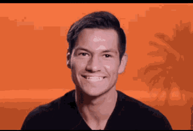 a man in a black shirt is smiling in front of an orange background with a palm tree in the background .