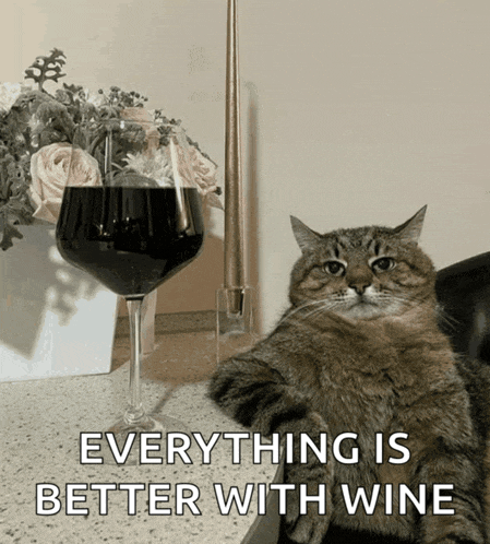 a cat sits next to a glass of wine with the words everything is better with wine below it