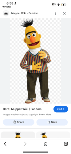 bert from sesame street is on a phone screen