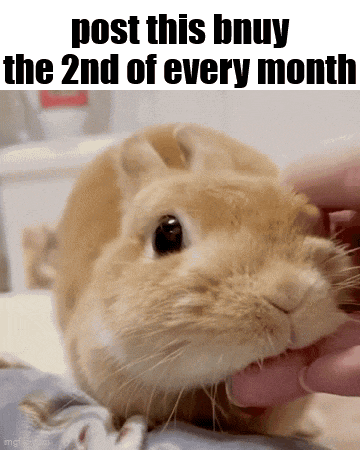 a picture of a rabbit with the words post this bnuy the 2nd of every month above it
