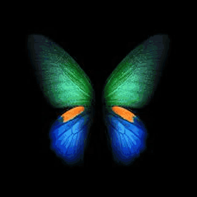 a blue and green butterfly on a black background .