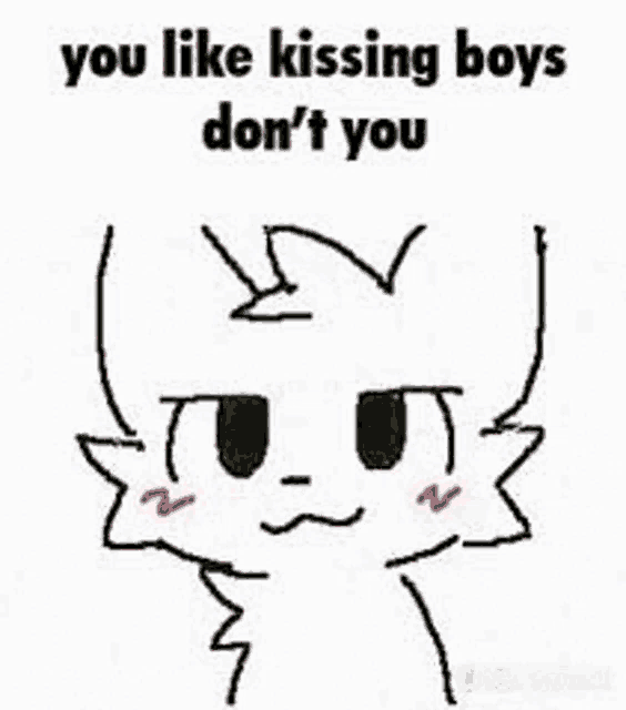 a drawing of a cat with the words `` you like kissing boys don 't you '' on it .