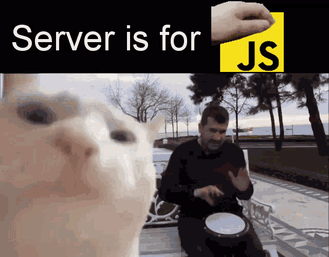 a cat is looking at a man playing a drum and the words server is for js