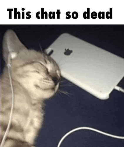 a cat wearing headphones is laying next to a cell phone .