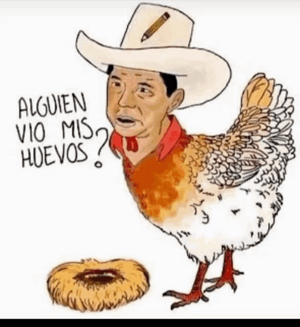 a cartoon of a man in a cowboy hat standing next to a chicken with the words " alguien vio mis huevos "