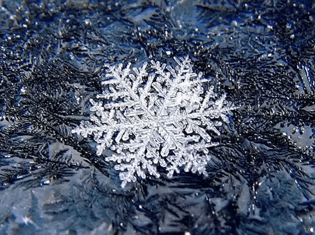 a snowflake is floating in the water on a shiny surface