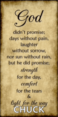 a quote from chuck taylor that says god didn 't promise days without pain