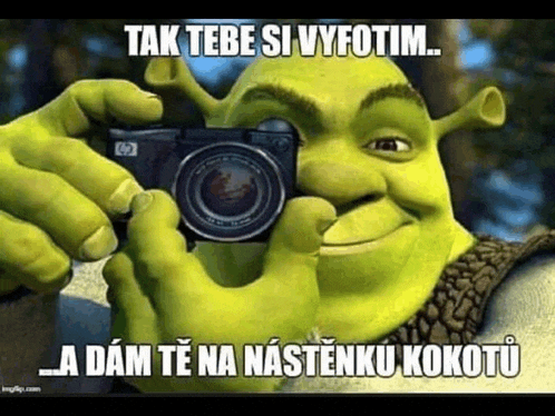 shrek from shrek taking a picture with a camera