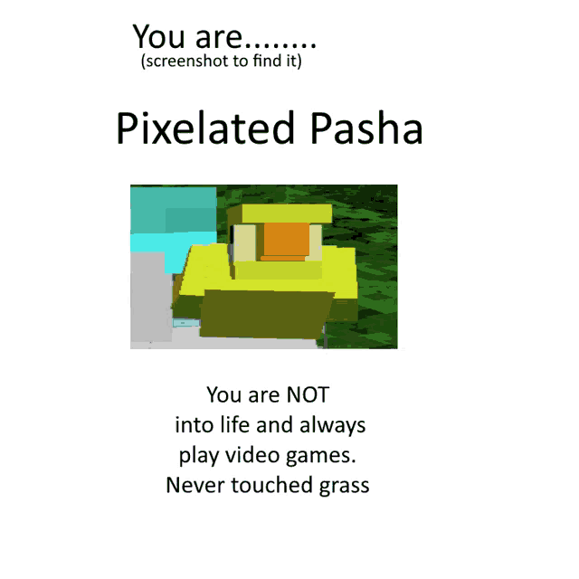 a screenshot of a pixelated pasha says you are not into life and always play video games never touched grass