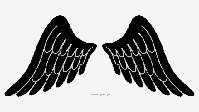 a pair of black angel wings silhouetted against a white background .