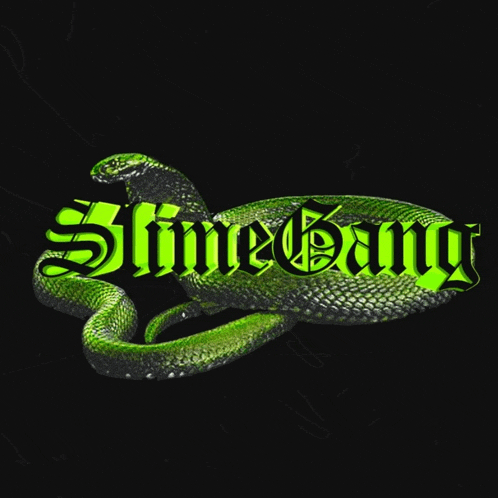 a green snake with the word slime gang written on it