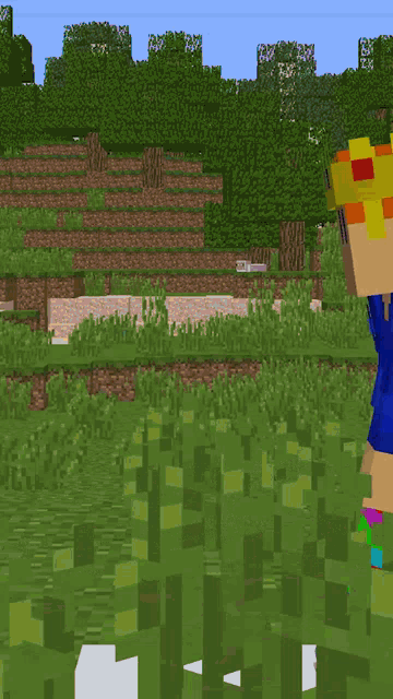 a minecraft character with a crown on his head stands in the grass